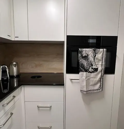 New Renovated In Center Of * Davos