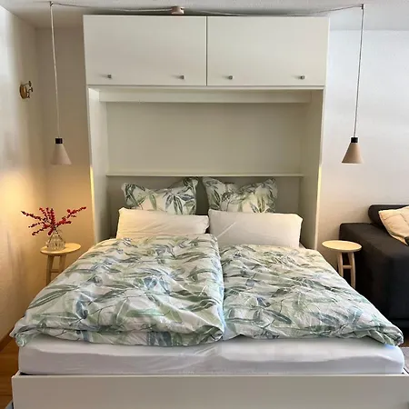 New Renovated In Center Of *