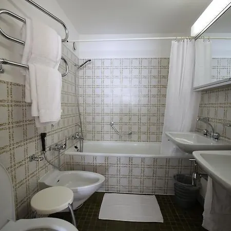 Appartement New Renovated In Center Of Davos