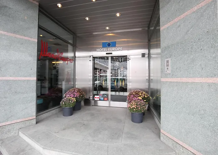 Appartement New Renovated In Center Of *