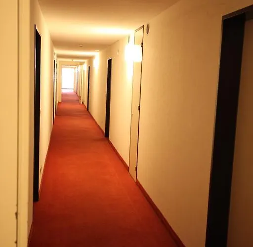 Appartement New Renovated In Center Of *